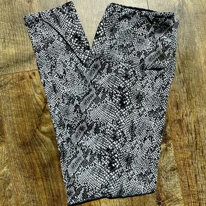 Casablanca by Marrakech - Small Snake Leggings